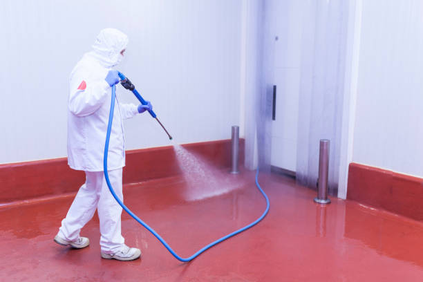 Boat and Dock Cleaning in Franklin Lakes, NJ